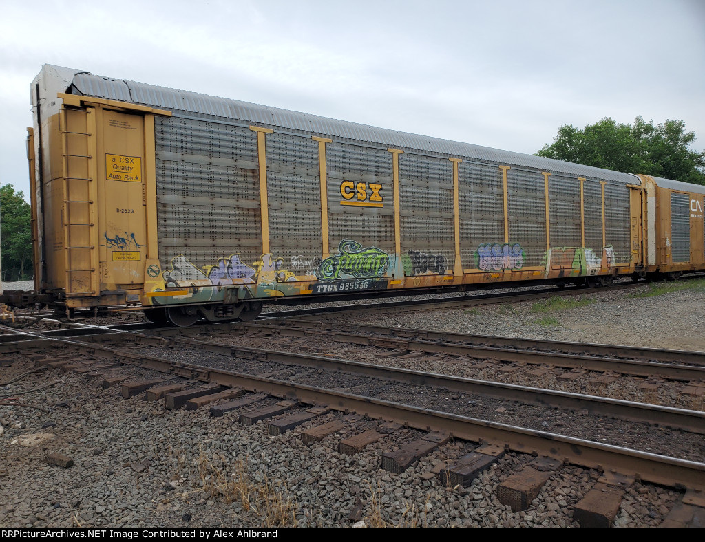 TTGX 985556